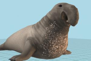 Elephant Seal low poly PBR not rigged walrus, seal, pinniped, dugong, animals, mamal, elephant-seal, sea-creature, sea, ocean